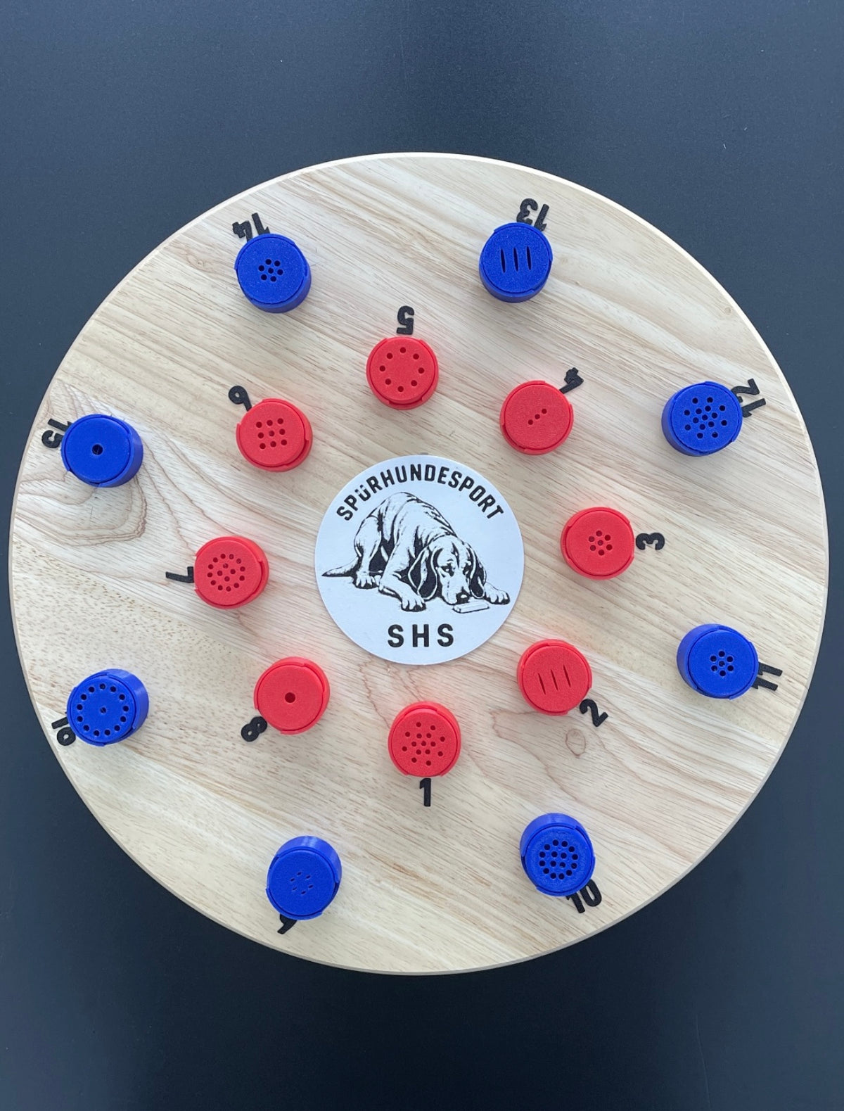 Drehteller für den Spürhundesport